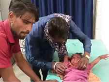 5 साल की बच्ची को कुत्ते ने काटा : सिर, नाक, होंठ व गाल पर गहरे घाव, घर के बाहर खेल रही थी, बच्ची की हालत स्थिर