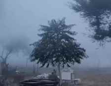 सीकर में छाया घना कोहरा, सर्दी का असर कम : कोहरे की वजह से विजिबिलिटी रही 50 मीटर, हल्के बदल भी छाए, सीकर में कोल्डवेव का अलर्ट जारी