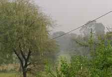 वीडियो न्यूज़ : नीमकाथाना में बदला मौसम का मिजाज : शहर सहित ग्रामीण अंचल में बारिश का दौर शुरू, किसानों की बढ़ी चिंता, बढ़ेगी ठंड