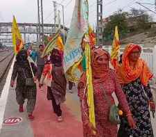 वीडियो न्यूज़ : बाबा श्याम का लक्खी मेला परवान पर : नीमकाथाना से होकर गुजर रहे हैं हजारों श्रद्धालु खाटूश्यामजी, भक्तों की सेवा के लिए जगह जगह लगाए भंडारे