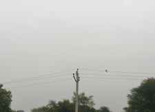 नीमकाथाना में बारिश की हल्की बौछारे : दो दिन बाद कोल्ड वेव की भी आशंका, पश्चिमी विक्षोभ के असर से तापमान में आई गिरावट