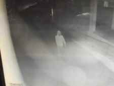 वीडियो न्यूज : नीमकाथाना में चोरों का आतंक : हसामपुर की सरकारी स्कूल में चोरी की वारदात को दिया अंजाम, हजारों का सामान ले उड़े