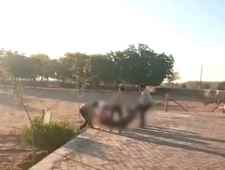 राजस्थान में दिन दहाड़े स्कूल से स्टूडेंट का किडनैप : 12वीं बोर्ड का एग्जाम देने गया था, 4 बदमाश उठा ले गये, स्टूडेंट चिल्लाता रहा, 8 किलोमीटर दूर मारपीट कर सड़क पर फेंककर भागे