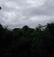 राजस्थान के 7 जिलों में आज बारिश की संभावना : नए पश्चिमी विक्षोभ के सक्रिय होने से दो दिन बादल छाए रहने व मेघगर्जन के साथ हल्की बारिश की संभावना