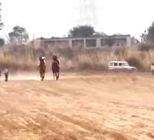 वीडियो न्यूज़ : नीमकाथाना के राणासर में भैरूंजी धाम का वार्षिक मेला : पहलवानों ने दिखाए दांवपेंच, ऊंट दौड़ प्रतियोगिता में दौड़े ऊंट, ऊंटो ने करतब दिखा कर किया लोगो का मनोरंज