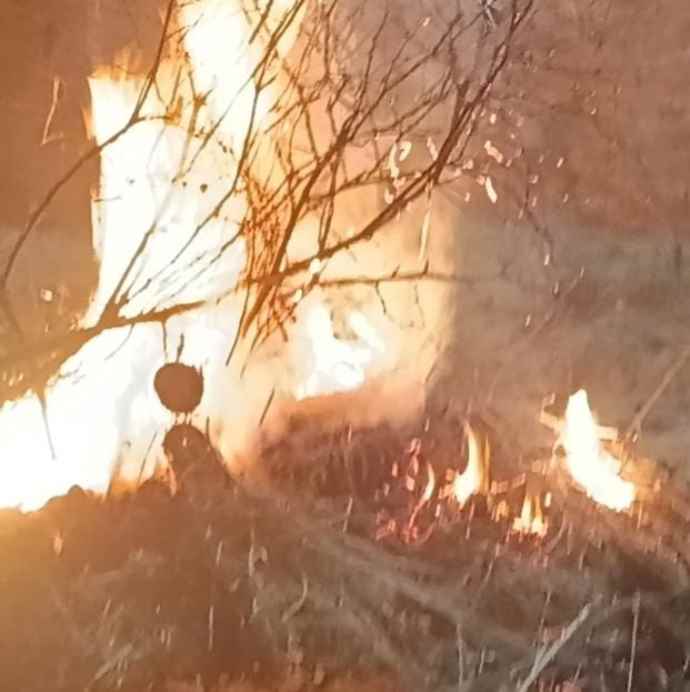 वीडियो न्यूज़ : नीमकाथाना में रात 1:26 बजे हुआ होलिका दहन : रामलीला मैदान सहित कई जगह हुआ होलिका दहन, ढोल-नगाड़ों की थाप पर नृत्य करते हुए समूह में पहुंचे