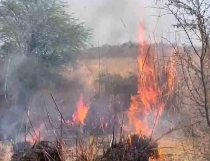 वीडियो न्यूज़ :नीमकाथाना में सेड की डूंगरी के पास लगी आग : तीन घंटे बाद आग पर पाया काबू, 5 हेक्टेयर क्षेत्र में पेड़-पौधे और झाड़ियां जलकर खाक