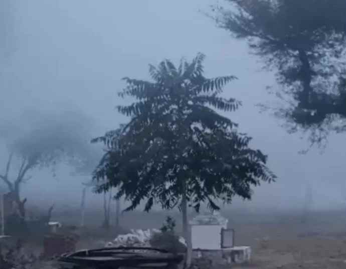 सीकर में छाया घना कोहरा, सर्दी का असर कम : कोहरे की वजह से विजिबिलिटी रही 50 मीटर, हल्के बदल भी छाए, सीकर में कोल्डवेव का अलर्ट जारी