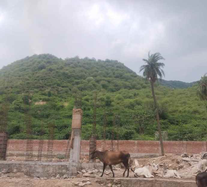 वीडियो अपडेट : जिले में पर्यटन को मिलेगा बढ़ावा : जिले के बालेश्वर कंजर्वेशन रिजर्व की अधिसूचना हुई जारी, अब आबादी की तरफ रुख नहीं करेंगे लेपर्ड