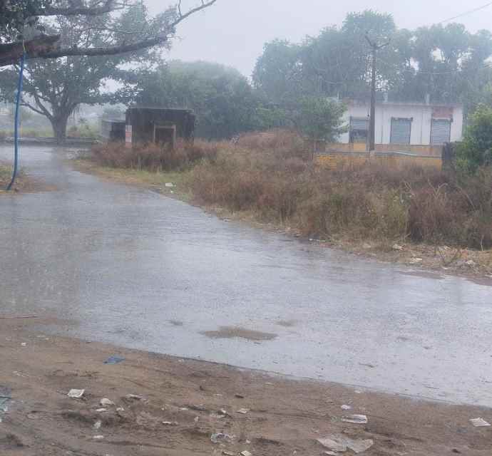 राजस्थान में बारिश का अलर्ट : मौसम विभाग ने 18 सितंबर को 7 जिलों में येलो अलर्ट जारी किया,  19 सितंबर तक रहेगा असर