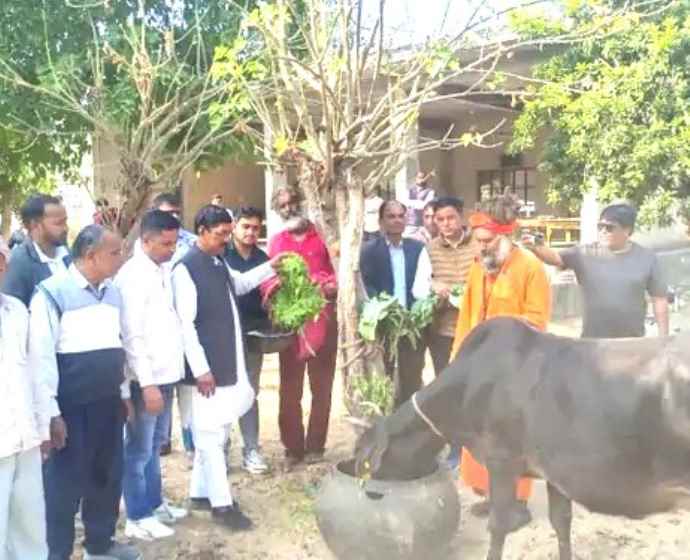 उदयपुरवाटी विधायक भगवानाराम सैनी का आज जन्मदिन : विधायक ने गौशालाओं में चारा खिलाया, कार्यकर्ताओं की ली मीटिंग और लोगो से मिलकर सुनी समस्याएं