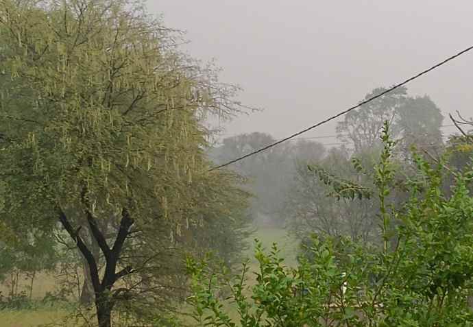 सीकर में धूल भरी आंधी के साथ बरसात : बरसात के बाद लोगों को गर्मी - उमस से मिली राहत, अगले तीन दिन रहेगा बदलाव
