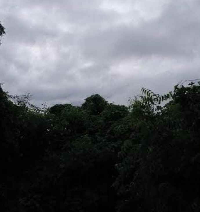 राजस्थान में कड़ाके की ठंड : सीकर, माउंट आबू समेत कई शहरों में तापमान में गिरावट, पश्चिमी विक्षोभ होगा एक्टिव