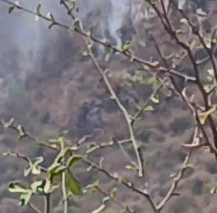 वीडियो न्यूज़ : पाटन की पहाड़ियों में लगी भीषण आग : आग से 10 हेक्टेयर भूमि पर वनस्पति जलकर हुई खाक, आग से क्षेत्र में रहने वाले वन्य जीव भी हुए प्रभावित