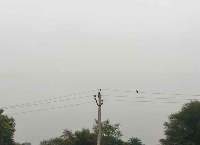 नीमकाथाना में बारिश की हल्की बौछारे : दो दिन बाद कोल्ड वेव की भी आशंका, पश्चिमी विक्षोभ के असर से तापमान में आई गिरावट