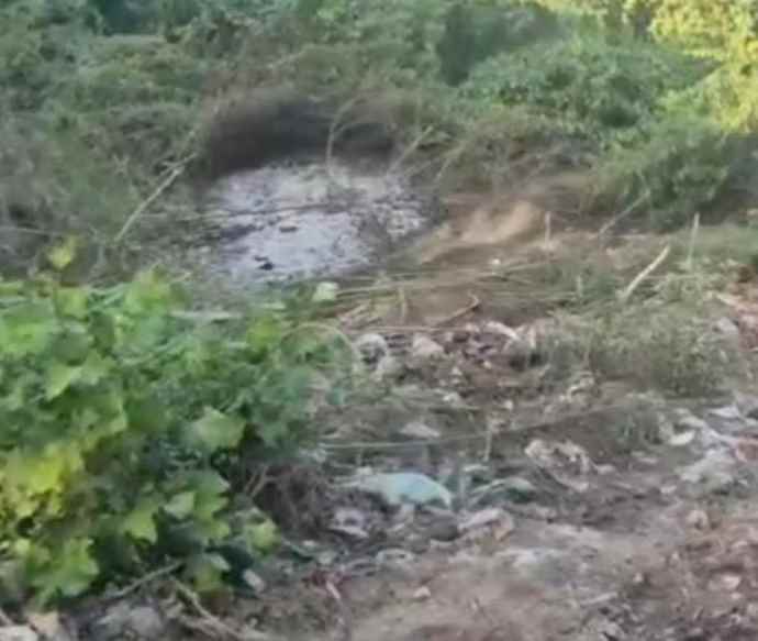 वीडियो न्यूज़ : नीमकाथाना में अवैध गांजे खेती के खिलाफ कार्रवाई : सदर थाना पुलिस ने कार्रवाई करते हुए 99.280 किलोग्राम अवैध गांजे के 60 पौधे किए बरामद
