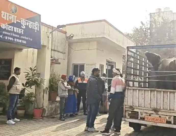 गुमशुदा भैंस के 2 दावेदार आमने-सामने : भैंस को थाने लाई पुलिस, मंदिर में कसम खाने के बाद भी नहीं सुलझा विवाद, मेडिकल कराना पड़ा