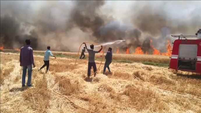 खड़ी गेहूं की फसल में लगी भीषण आग : फायर बिग्रेड भी हुई नाकाम, 200 बीघा फसल जलकर राख, शार्ट-सर्किट से आग लगने की आशंका