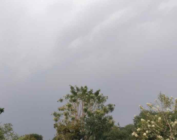 पारे ने तोडा रिकॉर्ड, श्रीगंगानगर में 49.4 तापमान दर्ज : मौसम विभाग का आज येलो अलर्ट, मेघमर्जन के साथ होगी हल्की बारिश, भीषण गर्मी से मिलेगी राहत