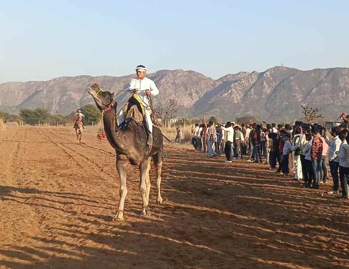 वीडियो न्यूज़ : नीमकाथाना में ऊंट और घोड़ी दौड़ का आयोजन : ऊंट डांस ने तो सबको थिरकने पर किया मजबूर, विजेताओं को नगद पुरुस्कार देकर किया सम्मानित