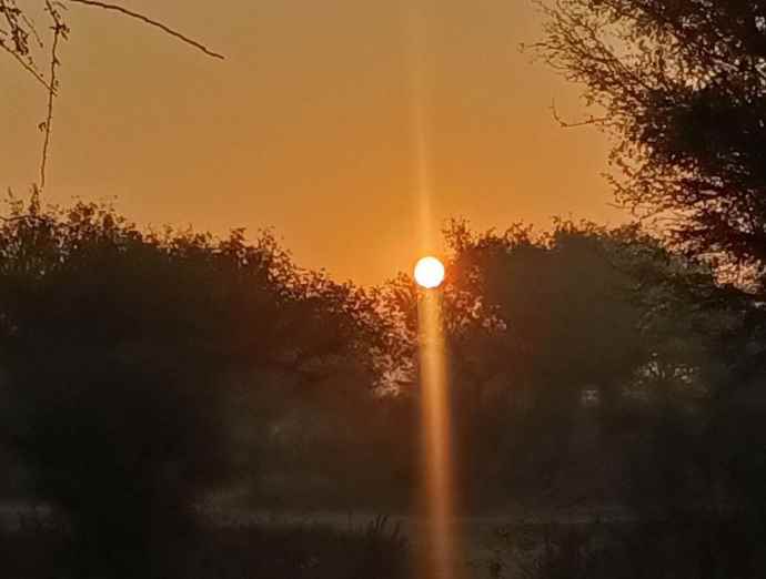 राजस्थान में रात का तापमान चढ़ा : वेस्टर्न डिस्टरबेंस से सर्दी हुई कम, 18 दिसंबर से एक्टिव होगा नया वेस्टर्न डिस्टरबेंस