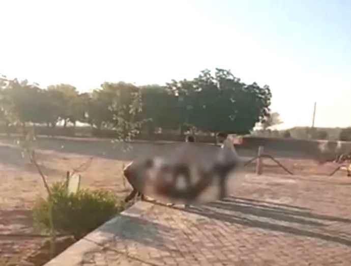 राजस्थान में दिन दहाड़े स्कूल से स्टूडेंट का किडनैप : 12वीं बोर्ड का एग्जाम देने गया था, 4 बदमाश उठा ले गये, स्टूडेंट चिल्लाता रहा, 8 किलोमीटर दूर मारपीट कर सड़क पर फेंककर भागे