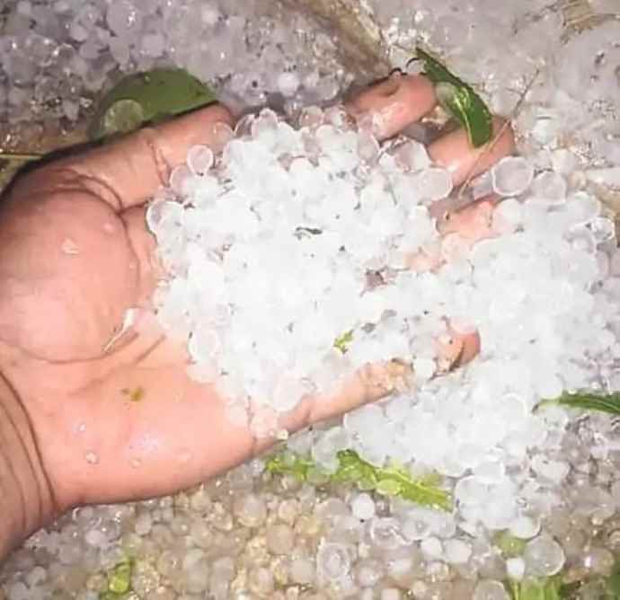 वीडियो न्यूज़ : नीमकाथाना में रात 12 बजे बदला मौसम : तेज अंधड़ के साथ बारिश, उखड़े तीन शेड और पेड़ , सीकर में गिरे ओले, रातभर बिजली रही गुल