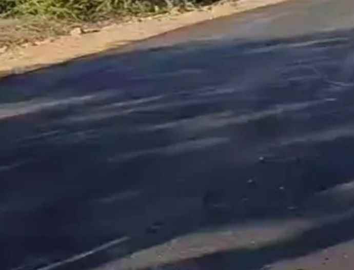 रातोंरात बनी सड़क सुबह कुत्तों ने खुरची तो उखड़ गई : 95 लाख रुपये की लागत से बनी सड़क, ठेकेदार ने बना दी रातोंरात, ग्रामीणों ने लगाए भ्रष्टाचार के आरोप